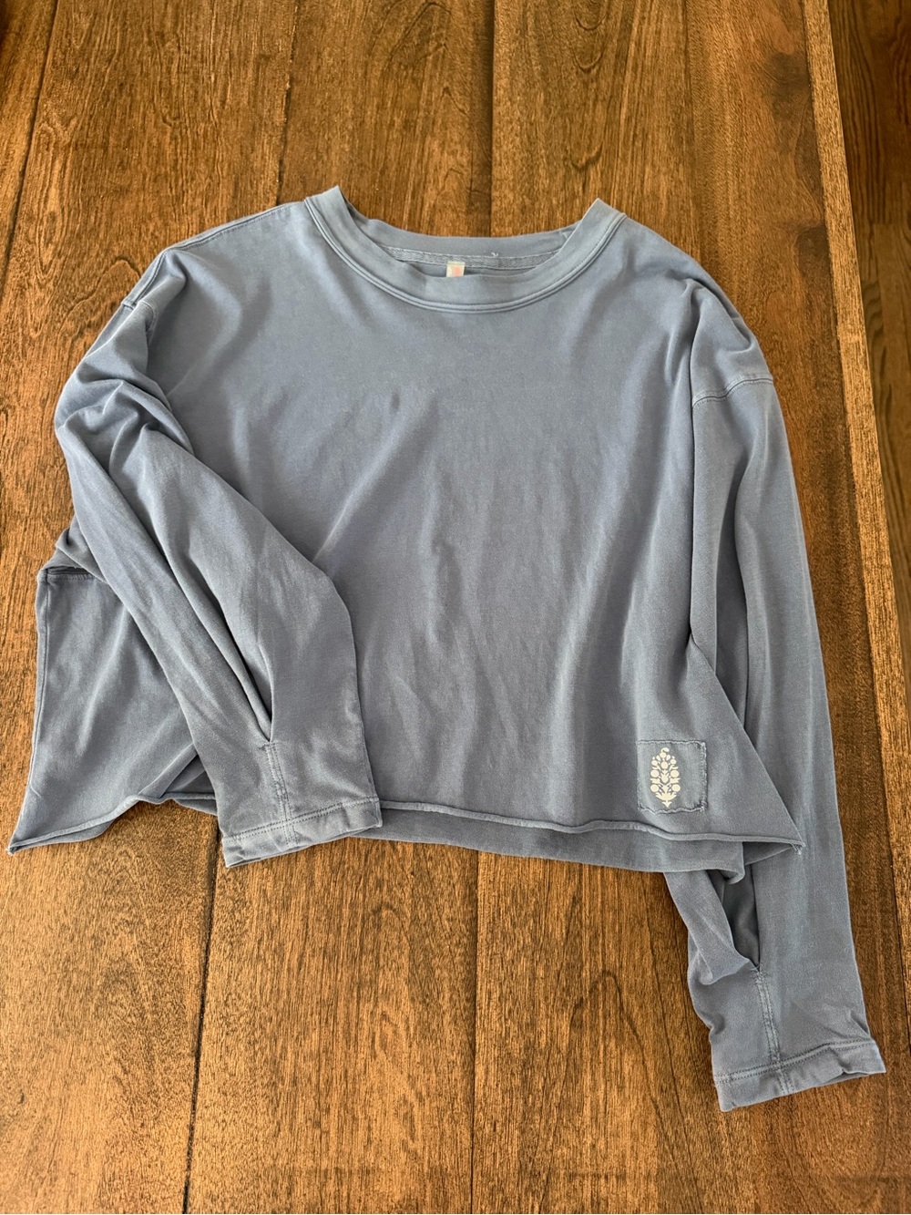 Free Movement/ Free PeopleWomen’s Long-Sleeve Cropped Crewneck Top in Dusty Blue